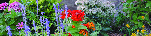 health-flowers health-flowers