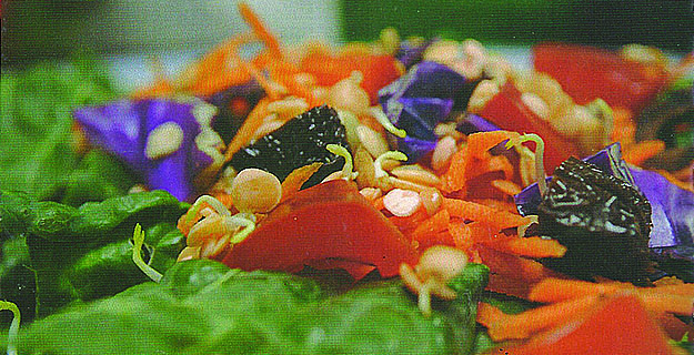 raw-kale-salad raw-kale-salad